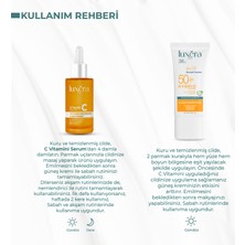 Luxera Paris Güneş Koruyucu, Antioksidan Vegan Cilt Bakım Seti - C Vitamini + Güneş Kremi