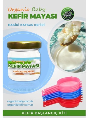 Organic Baby Kafkas Kefir Mayası