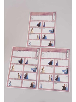 LİSANSLI DISNEY FROZEN 24'LÜ OKUL ETİKETİ *DERS PROGRAMLI*