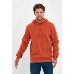 3 Ip Şardonlu Kapuşonlu Cepsiz Sweatshirt RD24KE054902