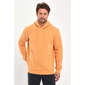 3 Ip Şardonlu Kapuşonlu Cepsiz Sweatshirt RD24KE054902