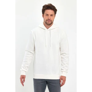 3 Ip Şardonlu Kapuşonlu Cepsiz Sweatshirt RD24KE054902