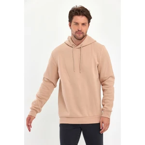 3 Ip Şardonlu Kapuşonlu Cepsiz Sweatshirt RD24KE054902