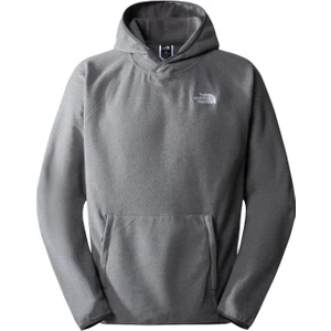 The North Face M 100 Glacıer Erkek Sweatshirt NF0A855ZDYY1