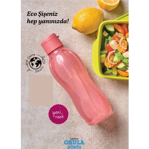 Eko Şişe 500 ml Pamuk Şeker