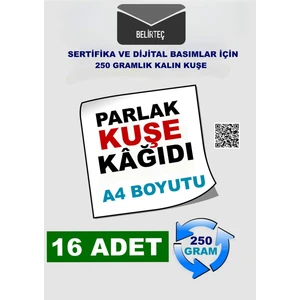 A4 Kalın Kuşe Kağıdı 250 gr Kalın Lazer Yazıcılar Için Parlak