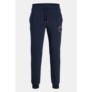 Jack & Jones Erkek Pantolon