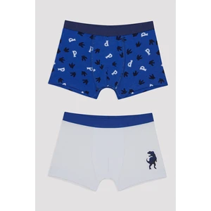 Erkek Çocuk Roar Team 2'li Boxer