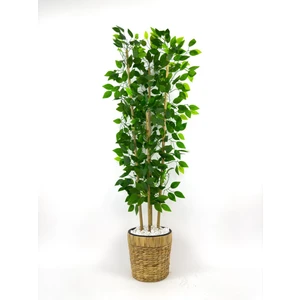 Yapay Benjamin Ağacı 140CM Hasır Saksıda