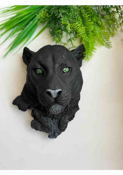 Puma Dekoratif Biblo
