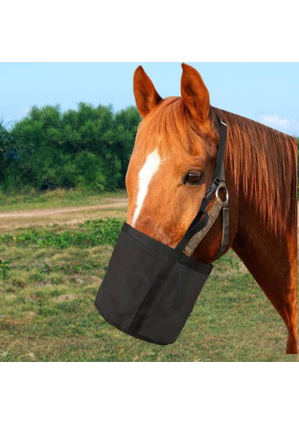 At Torbası, ve Dayanıklı Siyahtan Yapılmış Tahıl Torbası (Yurt Dışından) fiyatları