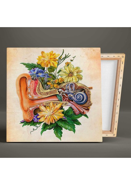 Kulak Anatomisi Kulak Burun Boğaz Çiçekler Ent Kanvas Tablo fiyatları