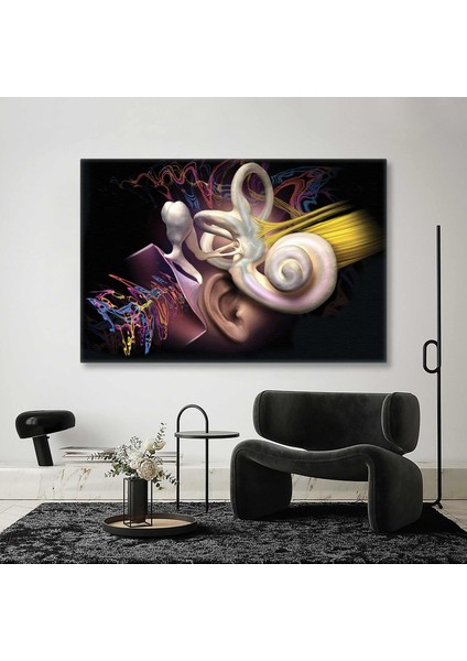 Kulak Anatomisi Ear Duyma Kulak Burun Boğaz Ent Kanvas Tablo