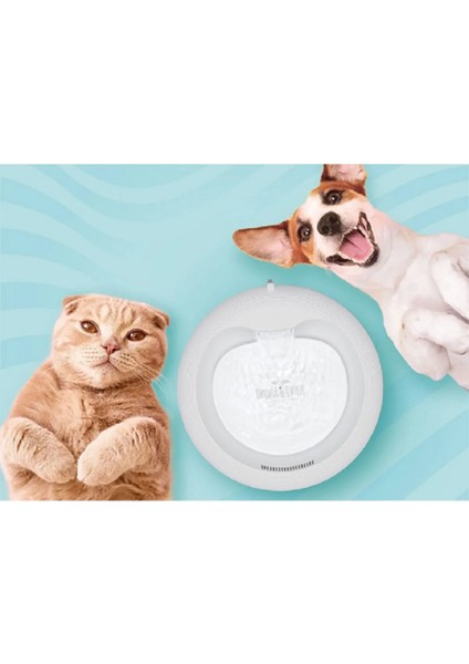 Kedi Köpek Arıtmalı Su Pınarı Klasik Model Nane modelleri