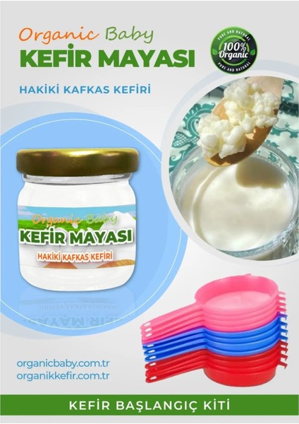Kafkas Kefir Mayası