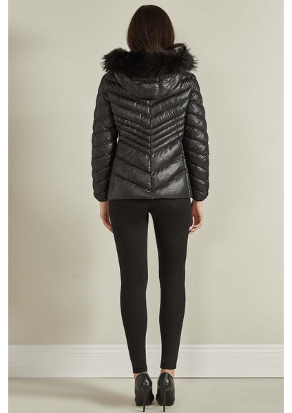 Kapüşonlu Siyah Mont fiyatları