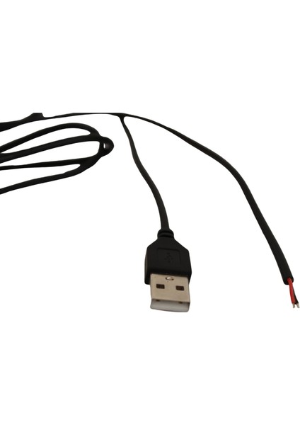 100 cm 2 Amper Ucu Açık USB Kablo USB Erkek Kablo