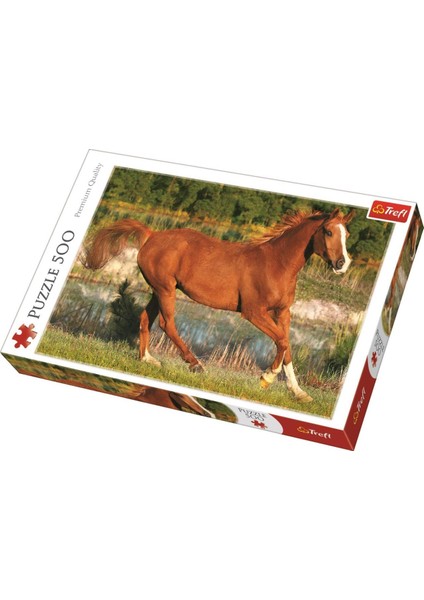 The Beauty Of Gallop 500 Parça Puzzle