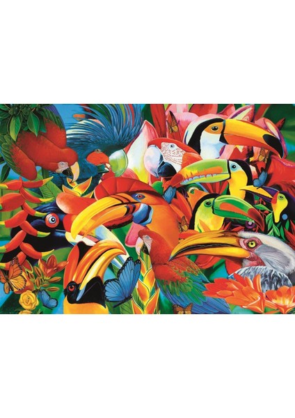 Colourful Birds 500 Parça Puzzle