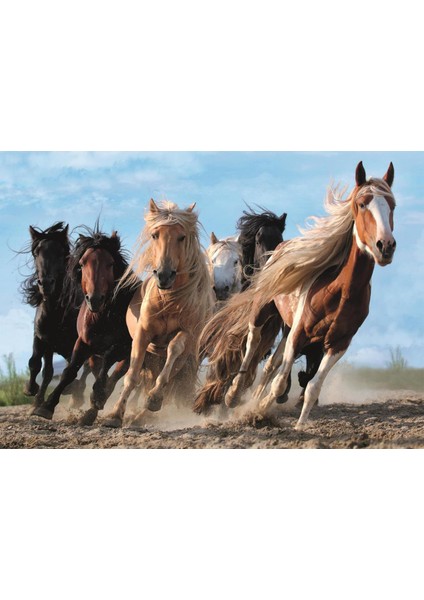 Galloping Horses 1000 Parça Puzzle