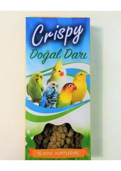 Doğal Daldarı Sarı Dal Darı 100 gr