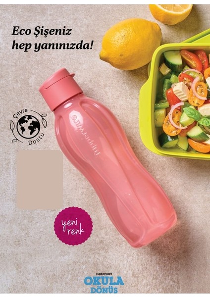 Eko Şişe 500 ml Pamuk Şeker