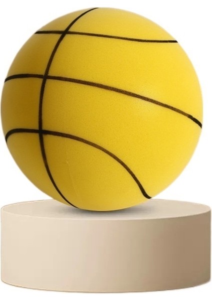 Çocuk Sessiz Basketbol (Yurt Dışından)