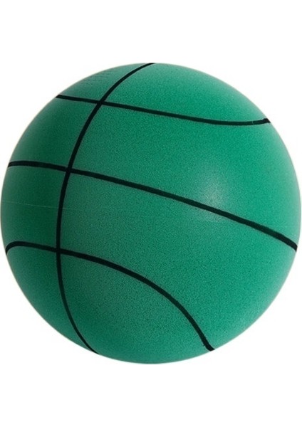 Çocuk Sessiz Basketbol (Yurt Dışından)