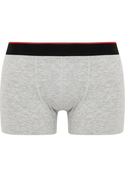 Regular Fit 3'lü Boxer Z6156AZ23SP