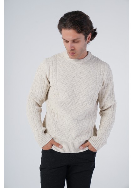 Erkek Yürütme Saç Sepet Örgü Bisiklet Yaka Triko Yün Kazak TRIST-5309