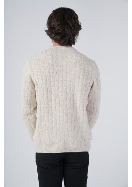 Erkek Yürütme Saç Sepet Örgü Bisiklet Yaka Triko Yün Kazak TRIST-5309 modelleri