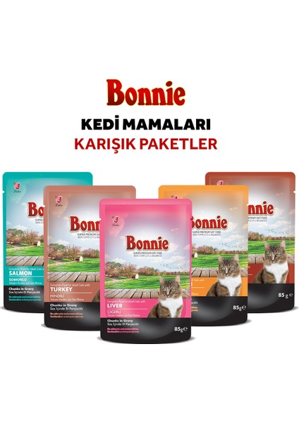 Ördekli & Hindili Pouch Yetişkin Kedi Maması 22 Adet fiyatları