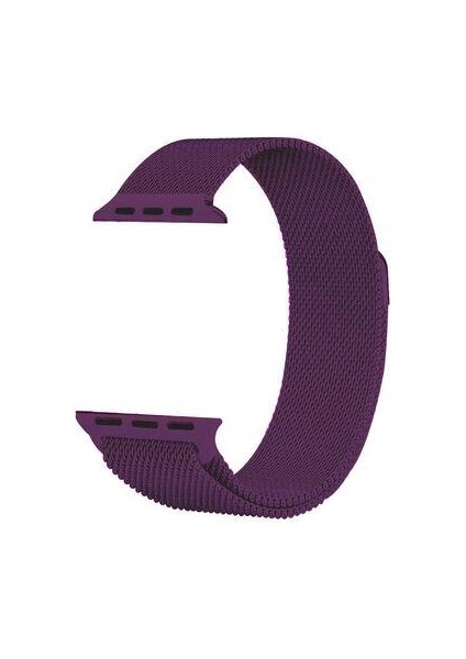 Apple Watch Seri 2/3/4/5/6/7/8/se 38MM-40MM-41MM Uyumlu Hasır Metal Kordon Mor