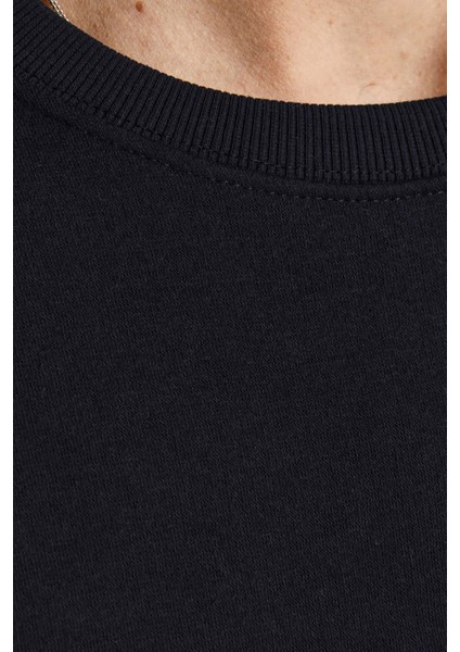 JJEBRADLEY SWEAT CREW Siyah Erkek Sweatshirt fırsatları
