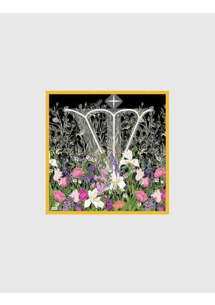 Darsena Kadın Bandana Siyah Beyaz Renkli İpek Şifon fiyatları