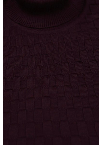 Mor Slim Fit Tam Balıkçı Yaka Erkek Triko fiyatları