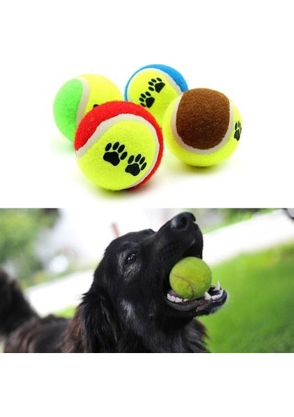 3lü Renkli Desenli Tenis Topu Kedi Köpek Oyuncağı