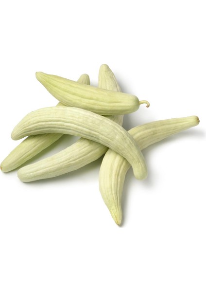 Bt Beyaz Acur 016 Tohumu (10 Gr) fiyatları