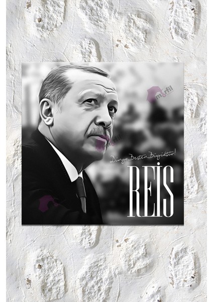 Recep Tayyip Erdoğan Cumhurbaşkanı Başkan Erdoğan Rte Kanvas Tablo (7 Farklı Ölçü) modelleri