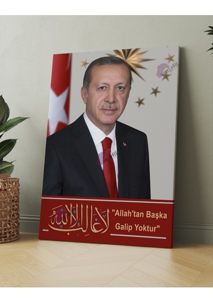 Recep Tayyip Erdoğan Başkan Erdoğan Rte Kanvas Tablo (7 Farklı Ölçü)