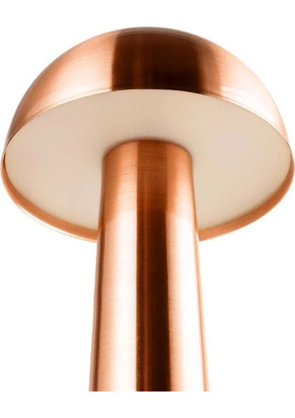 Cata Modern Mantar Bakır Masa Lambası Dokunmatik 3 Renk Dimi Modlu Sarjlı Bronz Kablosuz modelleri