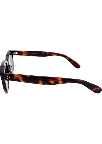 BLK8433 C2 Güneş Gözlüğü modelleri