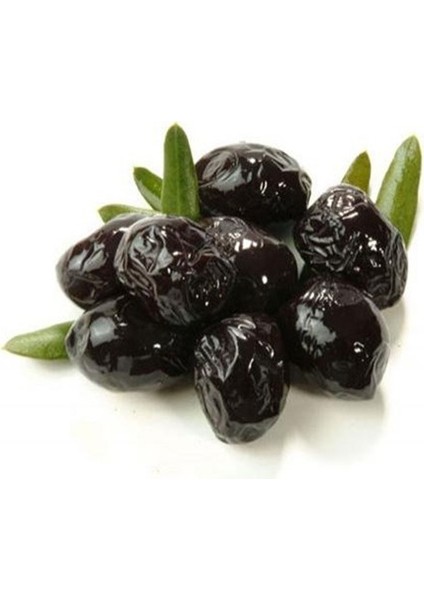 Gemlik Yağlı Sele Zeytin 2 kg