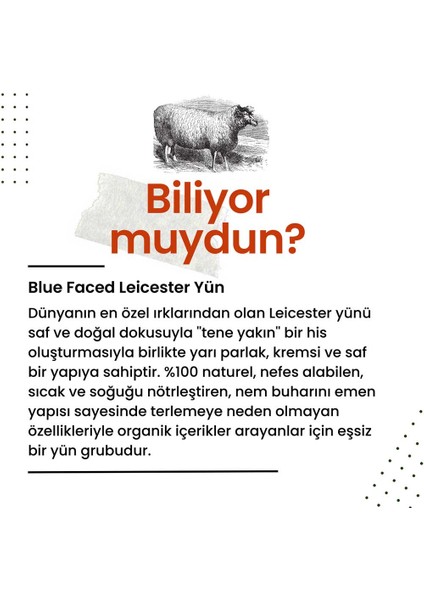 Blue Faced Leicester Wool 79082 Heathered indirimleri