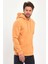 3 Ip Şardonlu Kapuşonlu Cepsiz Sweatshirt RD24KE054902 3