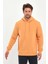 3 Ip Şardonlu Kapuşonlu Cepsiz Sweatshirt RD24KE054902 4