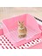 Tavşan Çöp Kutusu Küçük Chinchillas Domuzları Hamster Pembesi (Yurt Dışından) 5