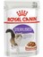 Royal Canin 6 Adet Royal Canin Sterilzed Pouch 85 gr 1