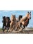 Galloping Horses 1000 Parça Puzzle 2