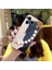 Telefon Kılıfı iphone 14 Pro Zincirli Tam Kapaklı Telefon Kılıfı (Yurt Dışından) 1